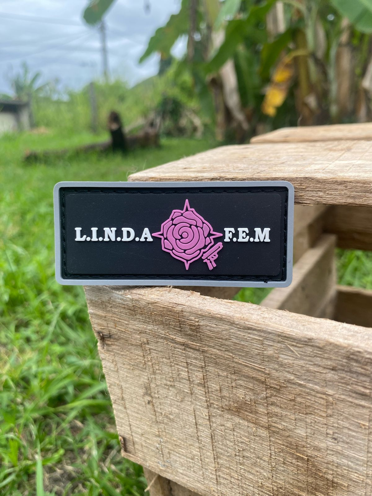 Patch retangular da LINDAFEM